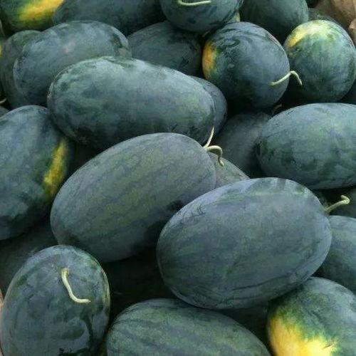 四川校园吃瓜黑料,揭秘校园里的那些“秘密”