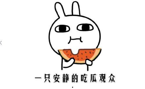 网络黑料吃瓜,吃瓜群众如何辨别真相与谣言